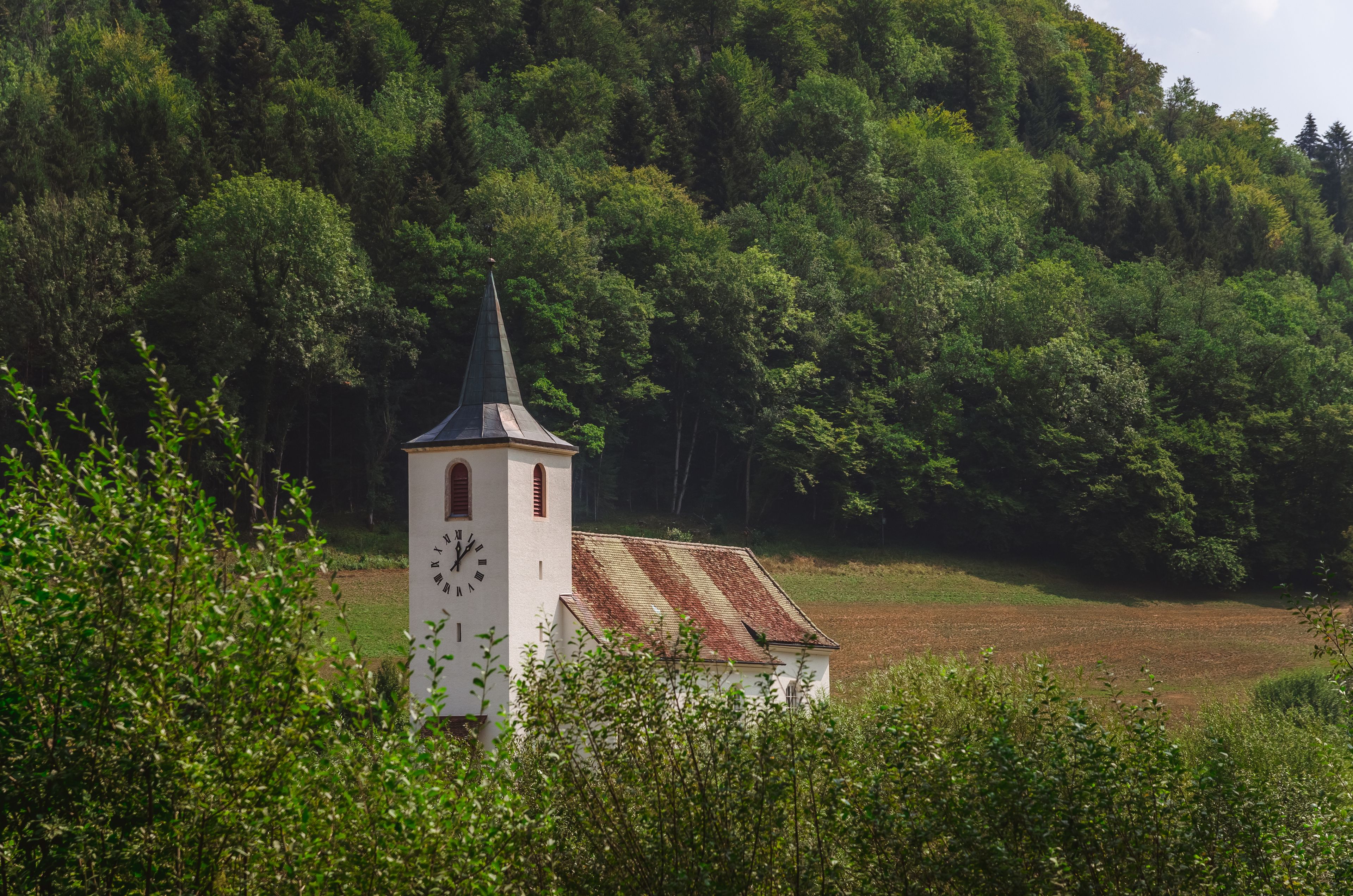 Ocourt