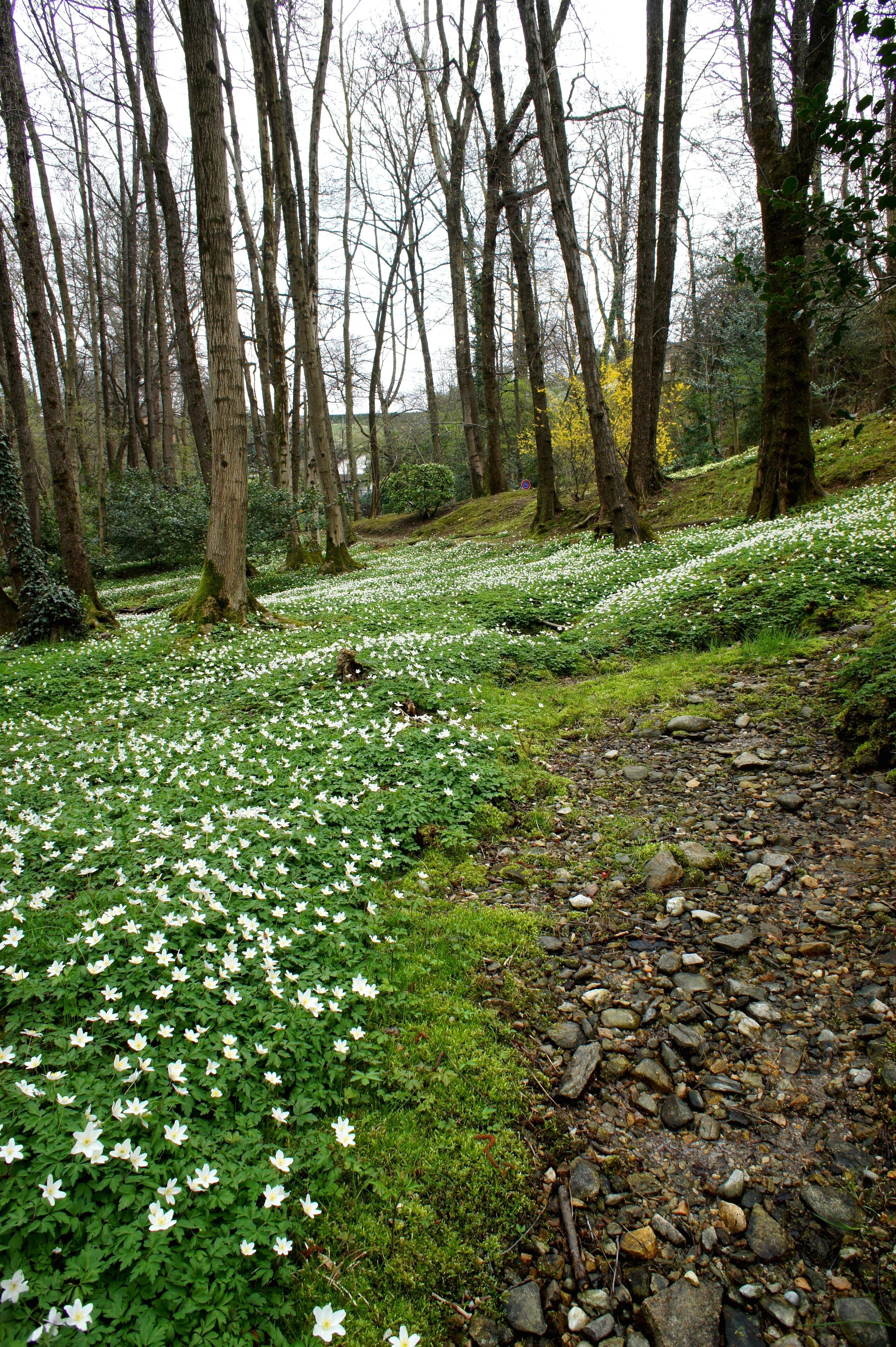 Collina d'Oro, Switzerland