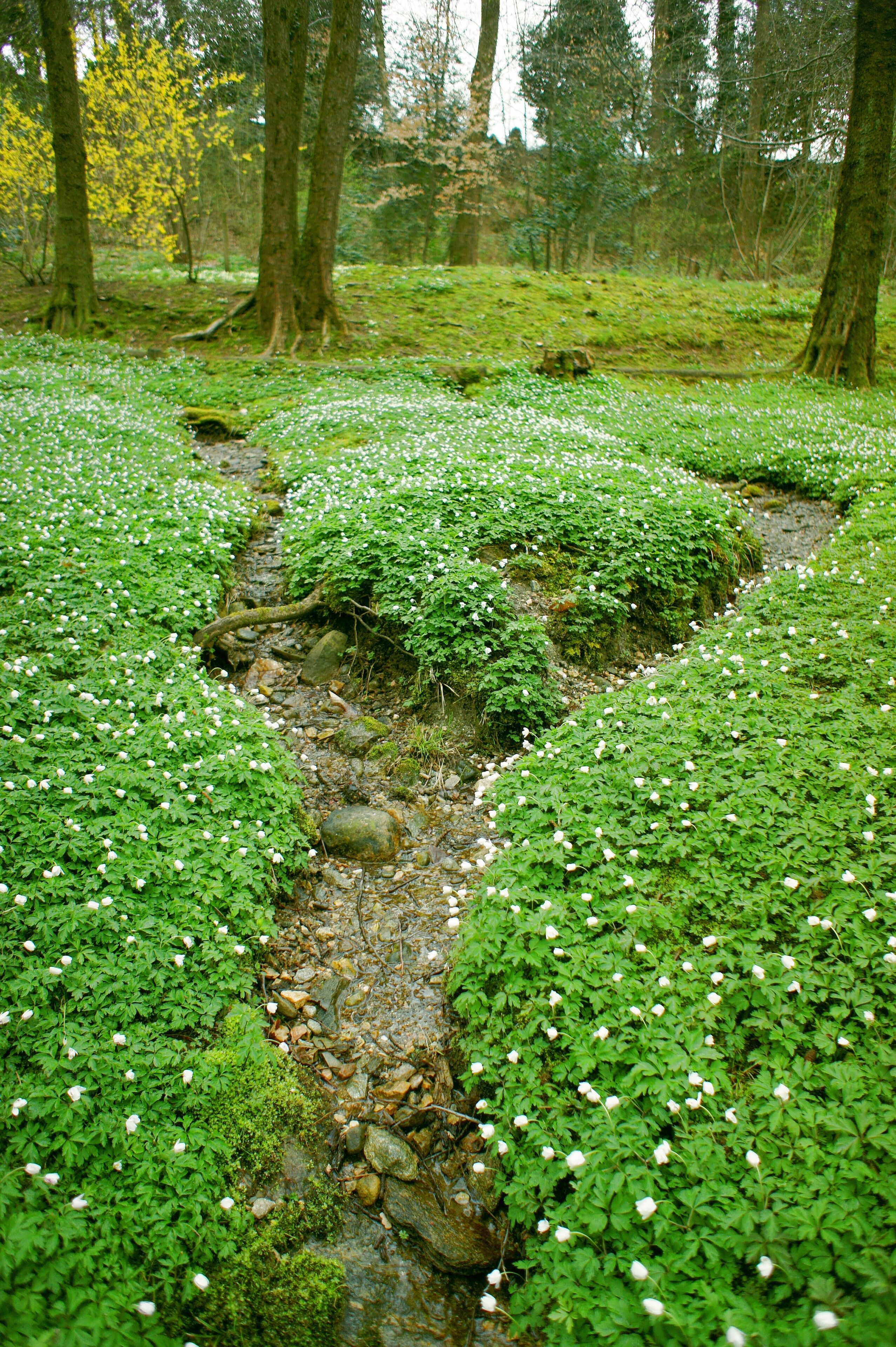 Collina d'Oro, Switzerland