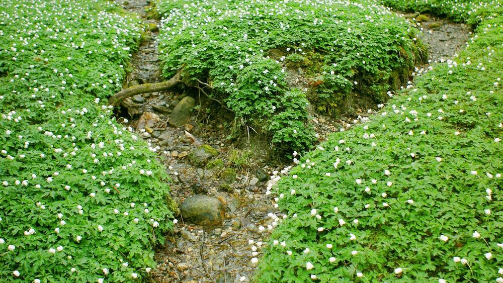 Collina d'Oro, Switzerland