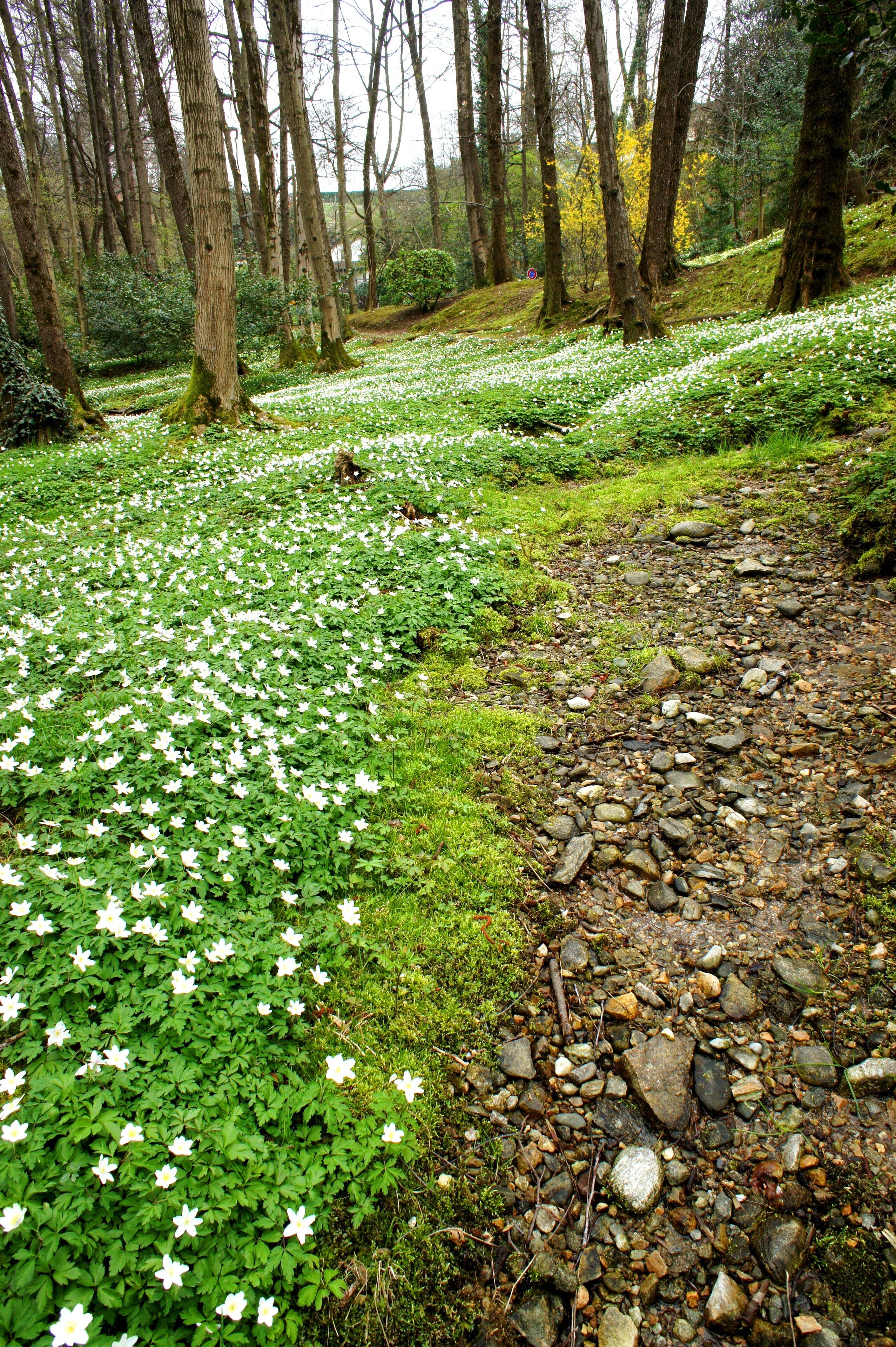 Collina d'Oro, Switzerland