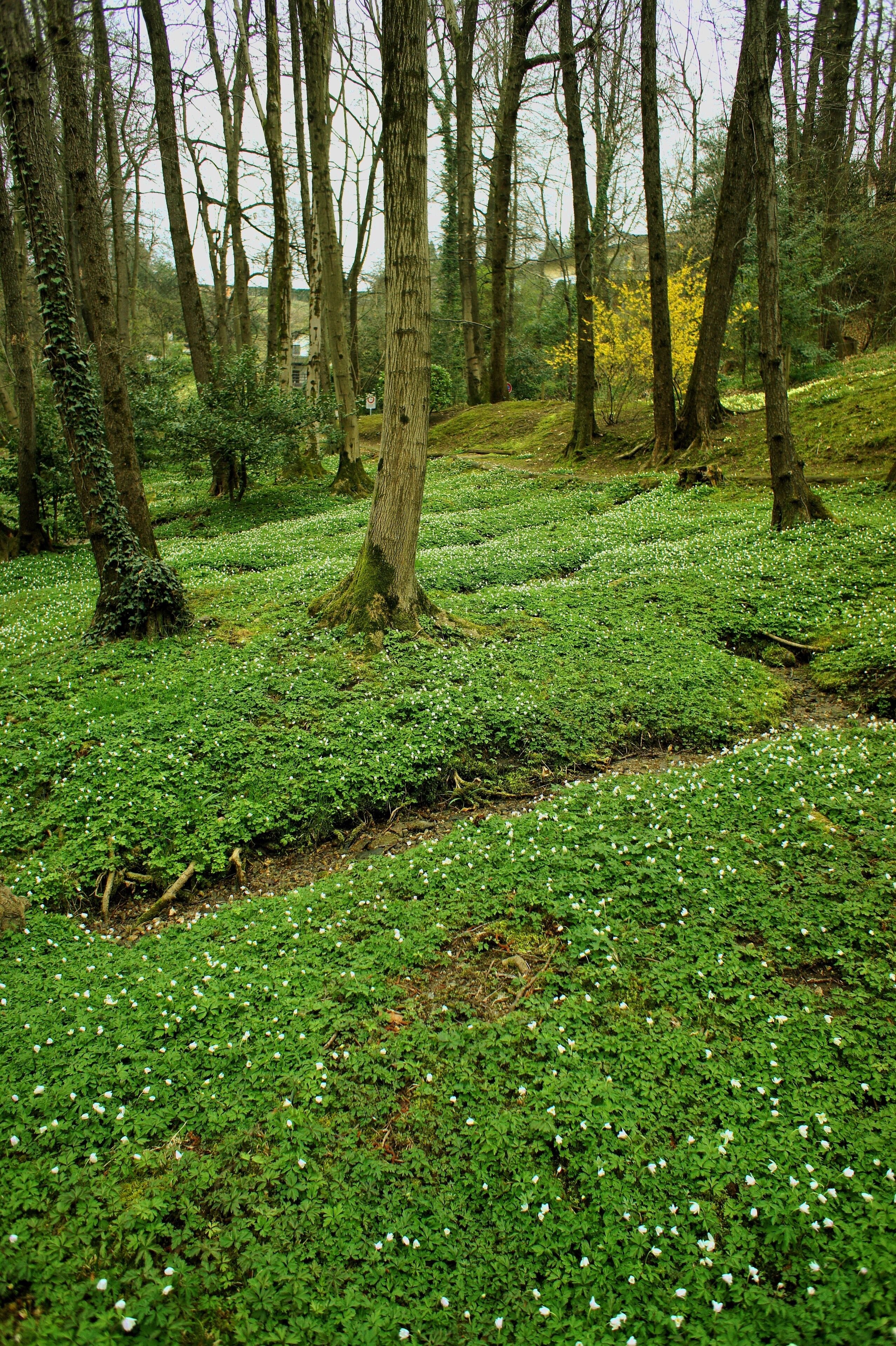 Collina d'Oro, Switzerland