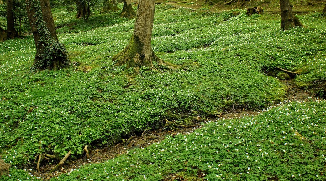 Collina d'Oro, Switzerland