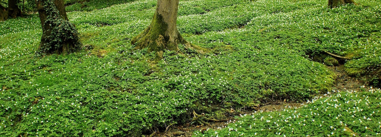 Collina d'Oro, Switzerland