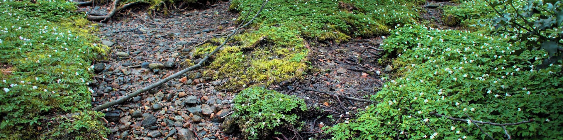 Collina d'Oro, Switzerland