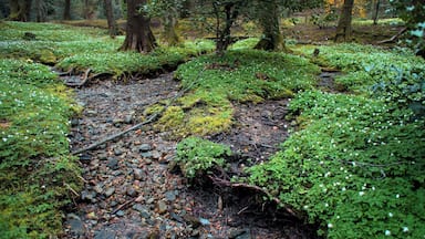 Collina d'Oro, Switzerland