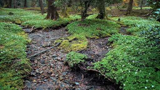 Collina d'Oro, Switzerland