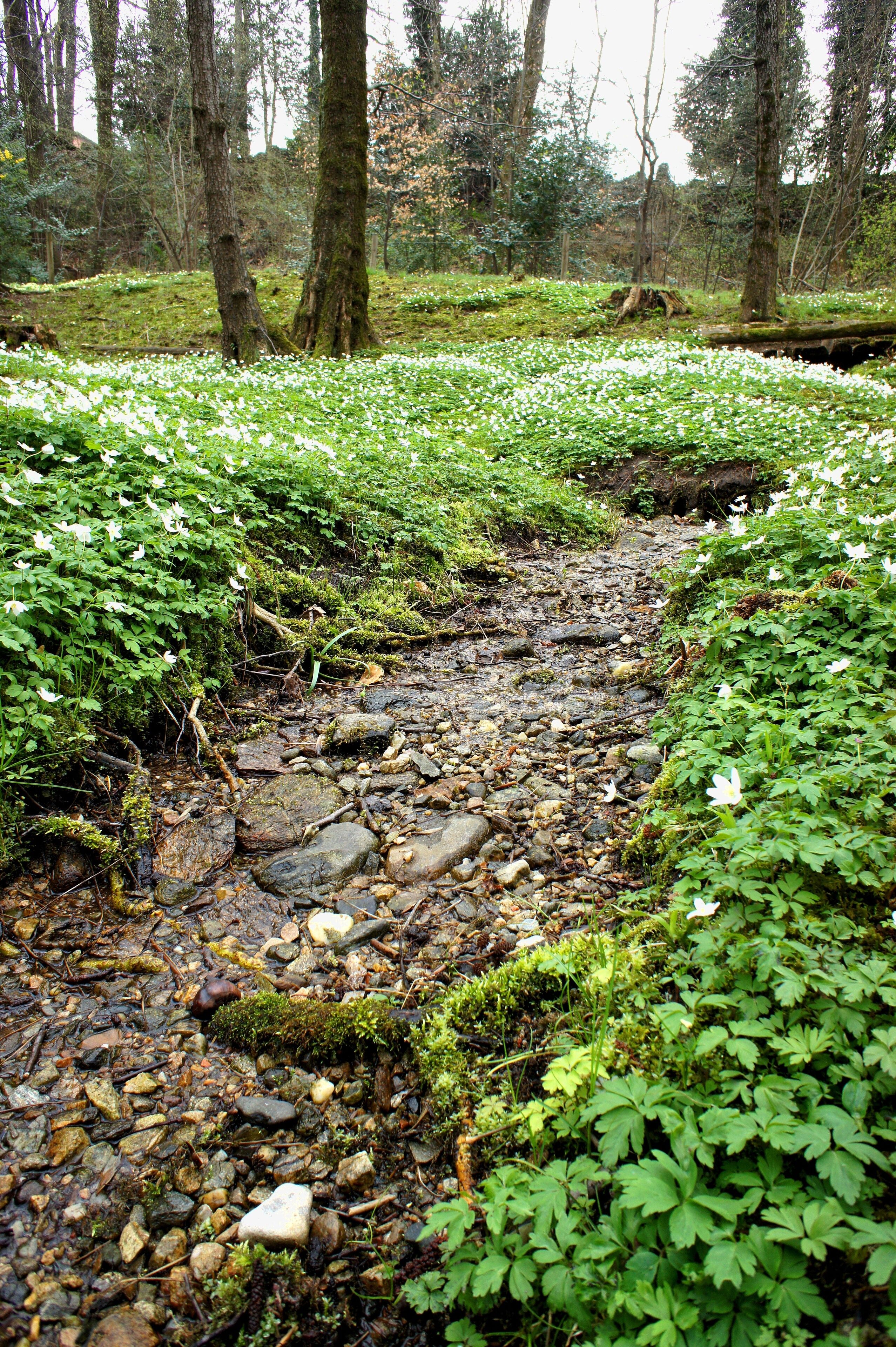Collina d'Oro, Switzerland