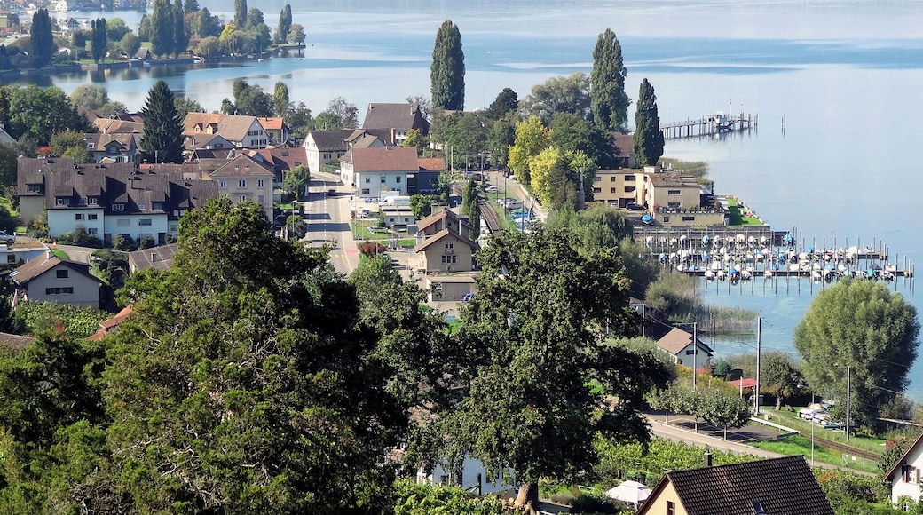 View of Mannenbach from Arenenberg Castle, Switzerland
