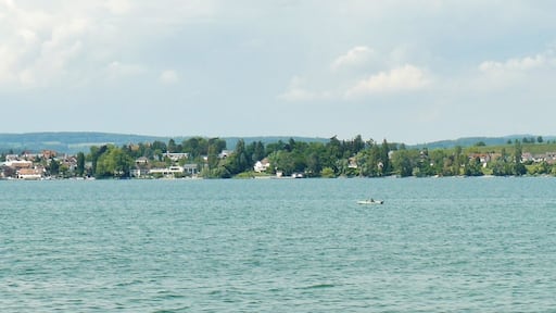 Insel Reichenau