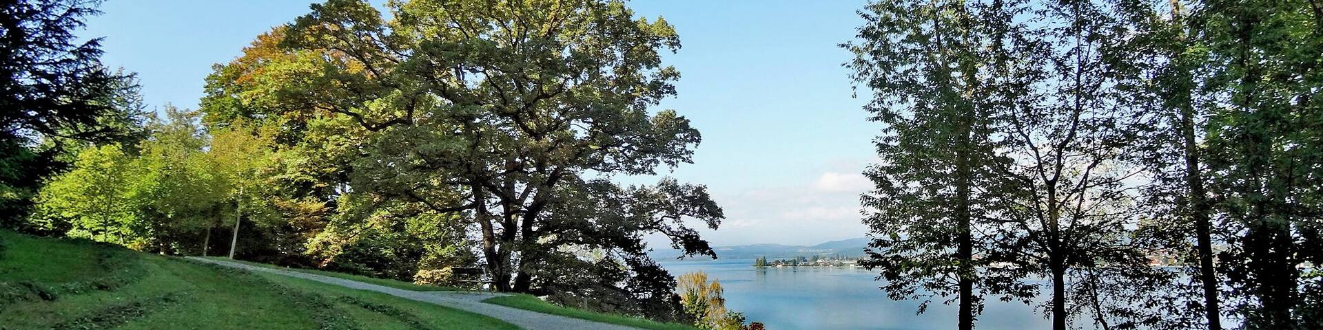 A winding path through a park with trees and a lake in the background.