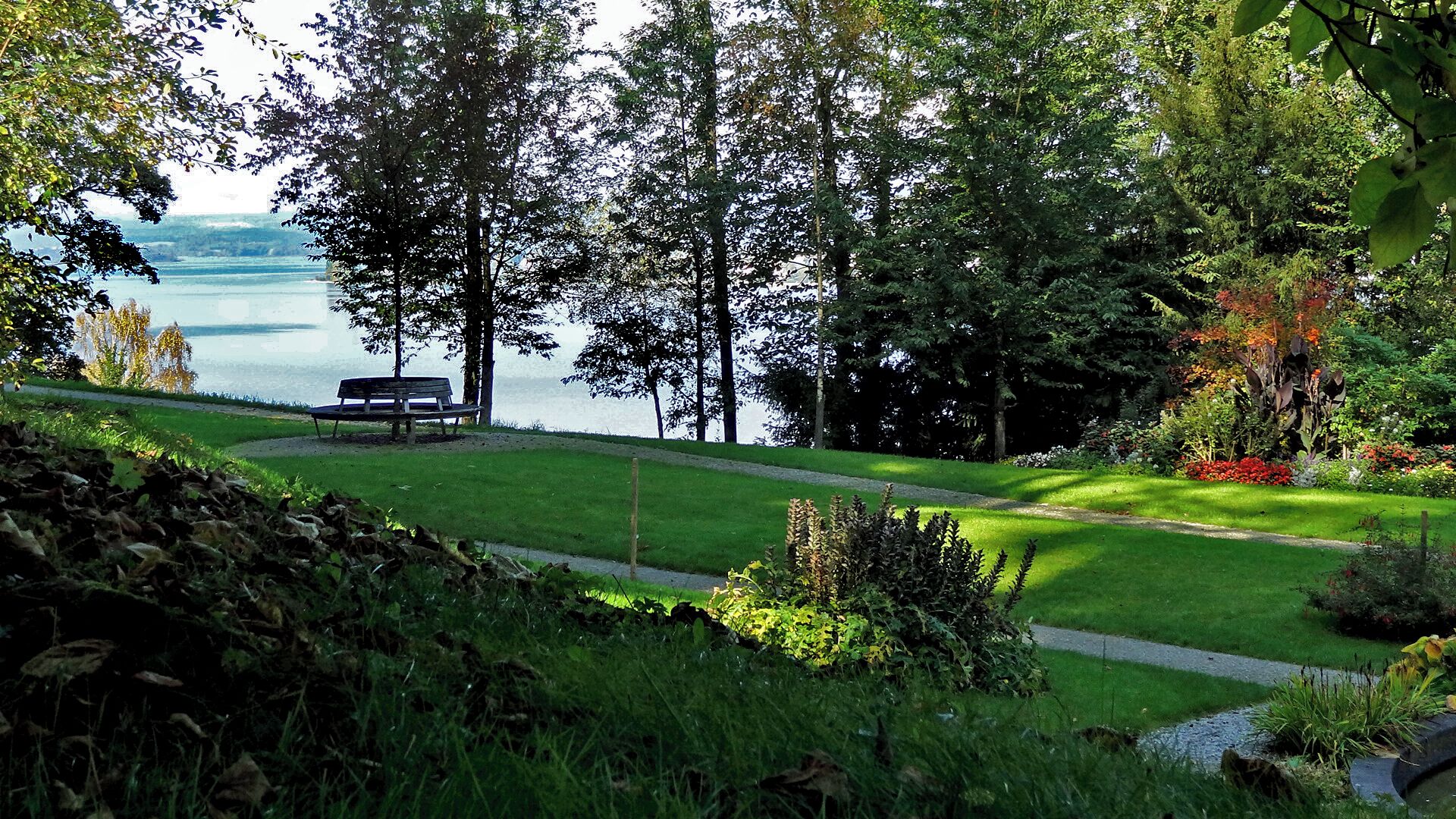 A park with a bench overlooking a lake, surrounded by trees and well-maintained grass.