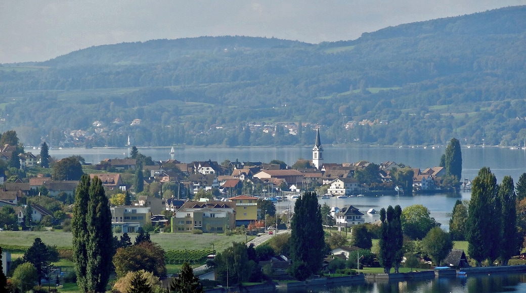 View of Berlingen TG from Arenenberg Castle, Switzerland
