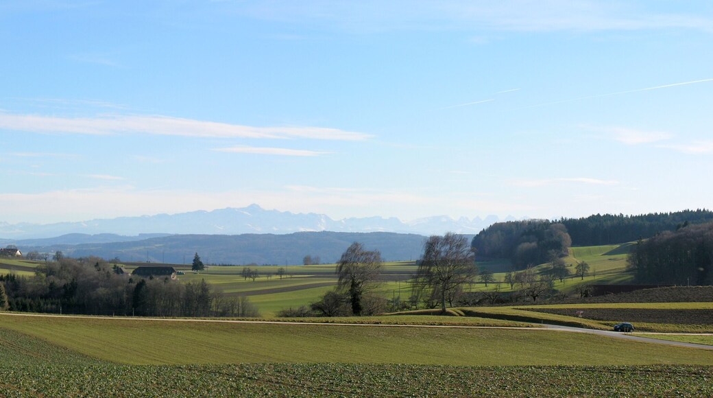 Switzerland, Thurgau, Alps seen from Klingenzell