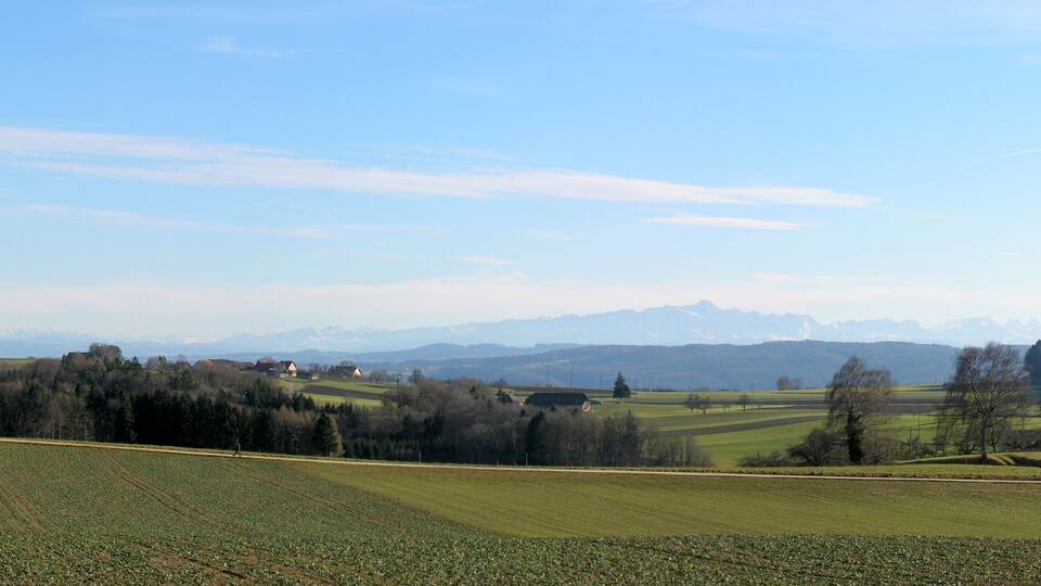 A rural landscape with fields, trees, and distant mountains.