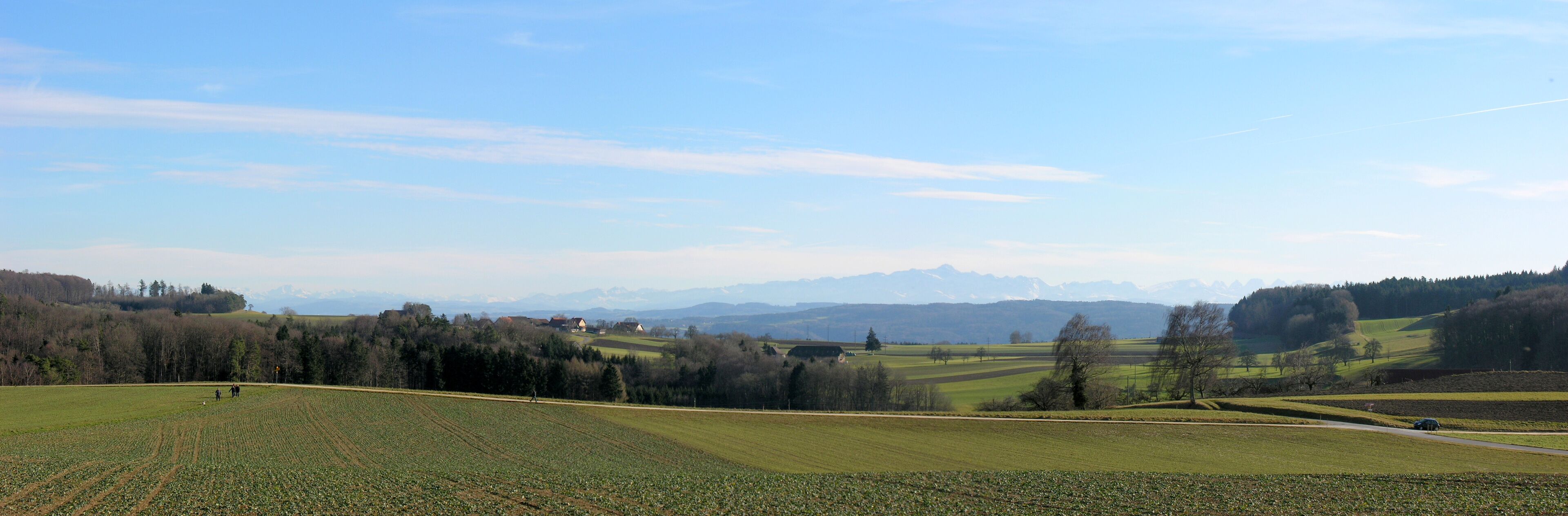A rural landscape with fields, trees, and distant mountains.