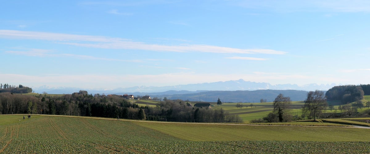 A rural landscape with fields, trees, and distant mountains.
