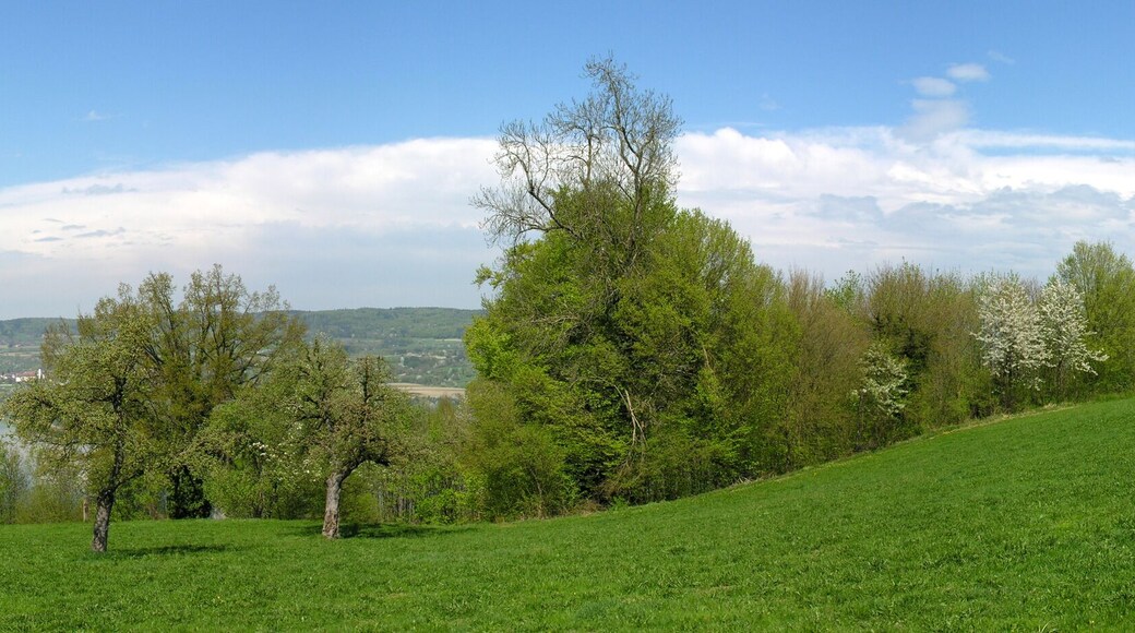 Switzerland, Thurgau, Klingenzell