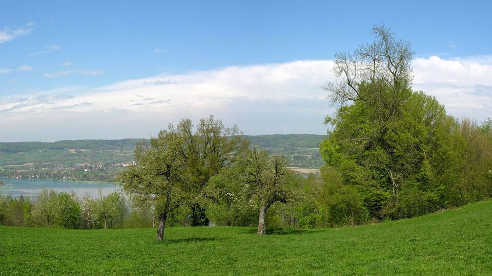 A green hillside with a road, trees, and a distant view of a lake and town.