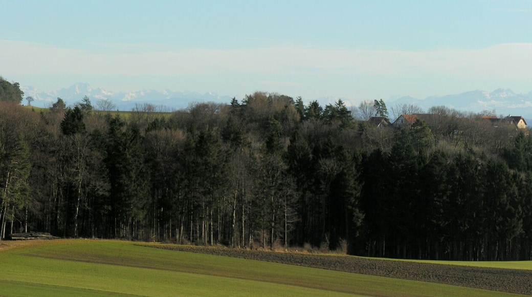 Switzerland, Thurgau, Alps seen from Klingenzell