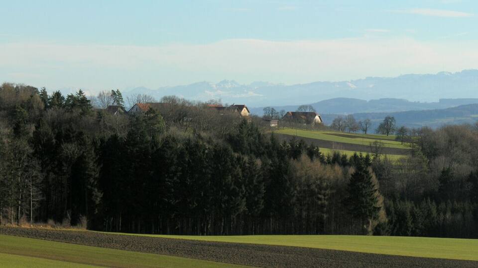 A rural landscape with rolling green fields, a forested area, and distant snow-capped mountains.