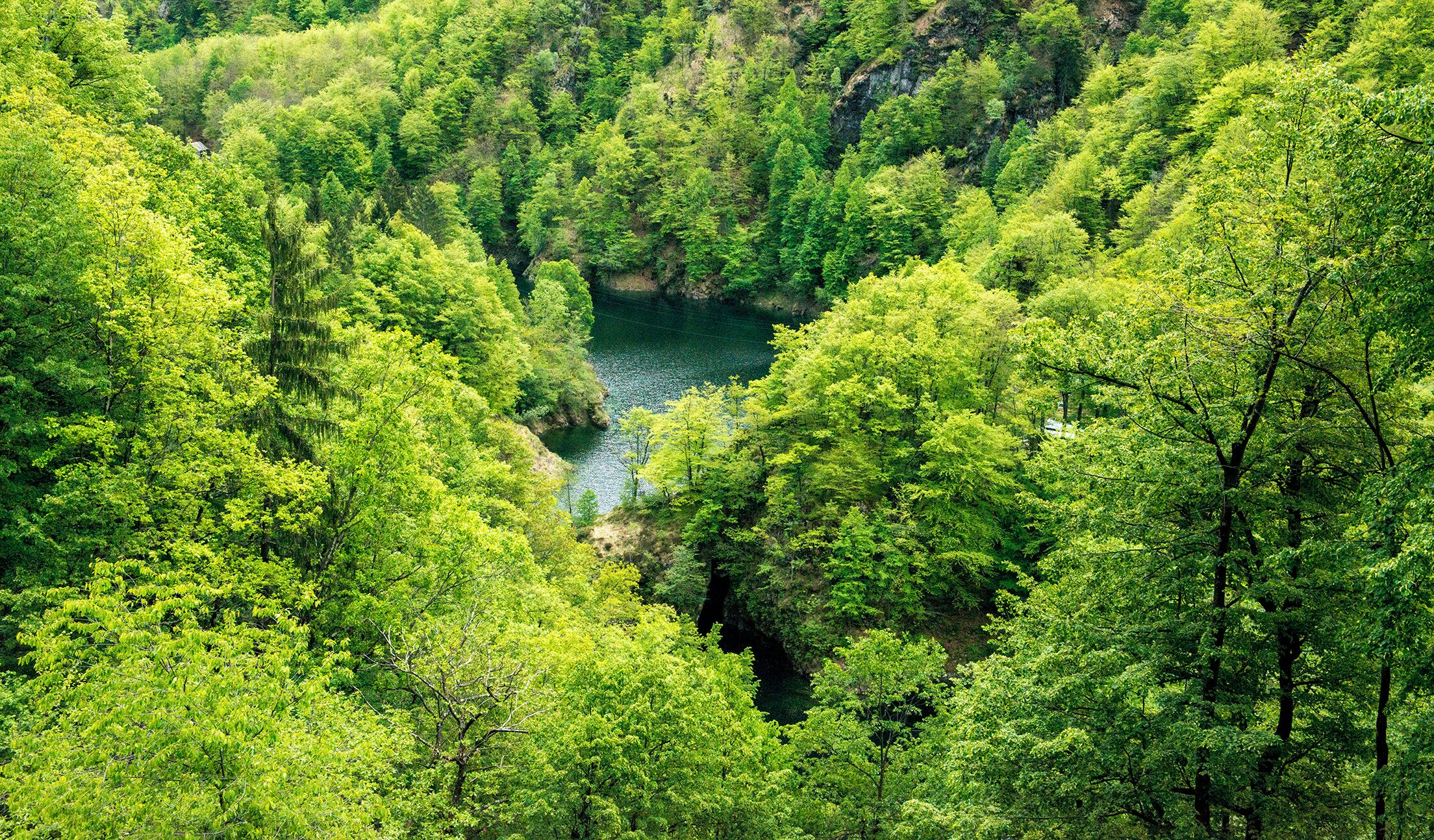 Progetto Parco Nazionale del Locarnese - Centovalli - Lago di Palagnedra