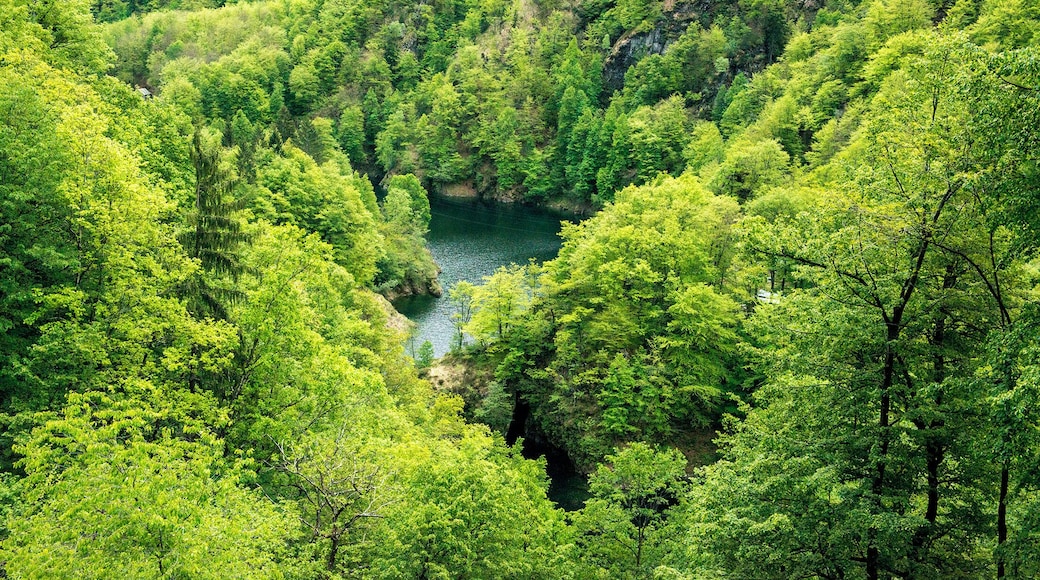 Progetto Parco Nazionale del Locarnese - Centovalli - Lago di Palagnedra