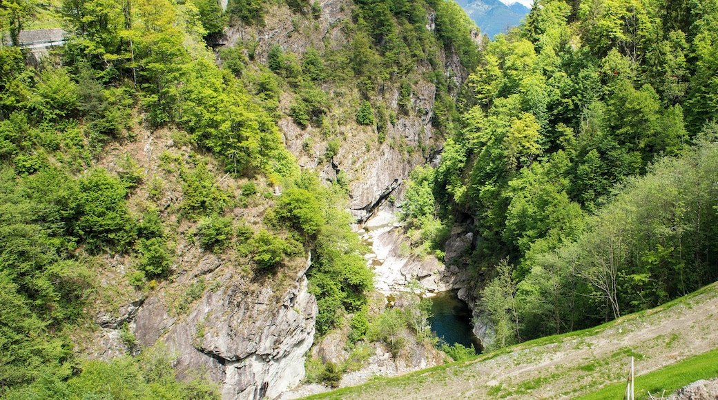 Progetto Parco Nazionale del Locarnese - Centovalli - Lago di Palagnedra