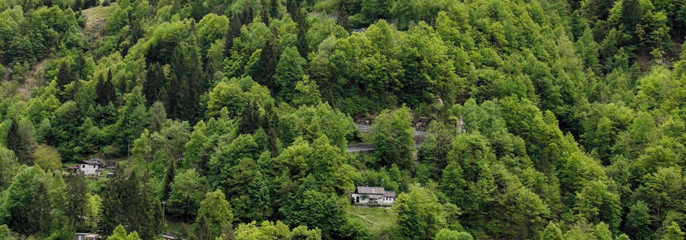 Progetto Parco Nazionale del Locarnese - Pizzo Leone, Pizzo Ometto and Lago di Palagnedra