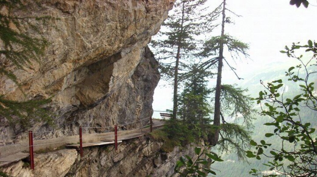 The bisse du Rho is a beautiful walk for those with no fear of high! Bisse are water channels build in the old days to water the fields.
The bisse link Montana to the Barage de Tzeusier, and it takes about 3 hours to complete the walk.
#hiking #lifeatexpedia #Mountains #Alps #Switzerland #Valais #bisse #sensations