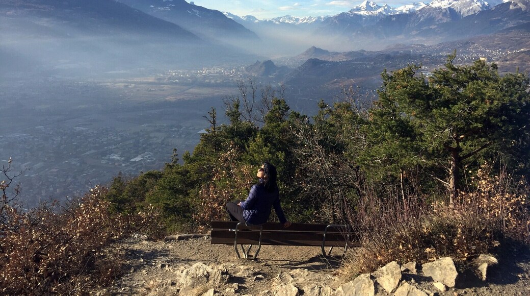 View on the Rhone Valley from the Bisse de Lens. An easy walk, to be done ideally in spring / autumn. The best way to do it is to leave the car in Chermignon and enjoy a walk in the forest first, and then on the mountain flank. Count about 1h15 each way from Chermignon to the view point.
#Switzerland #Valais #Rhone #Valley #Alps #Hiking #Lifeatexpedia