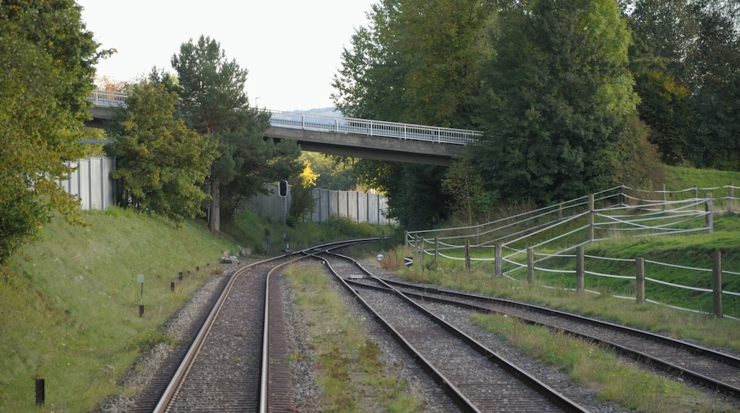 Switzerland, Canton of Schaffhausen, views along the museum railway line between Rielasingen (Germany) and Etzwilen (Switzerland)