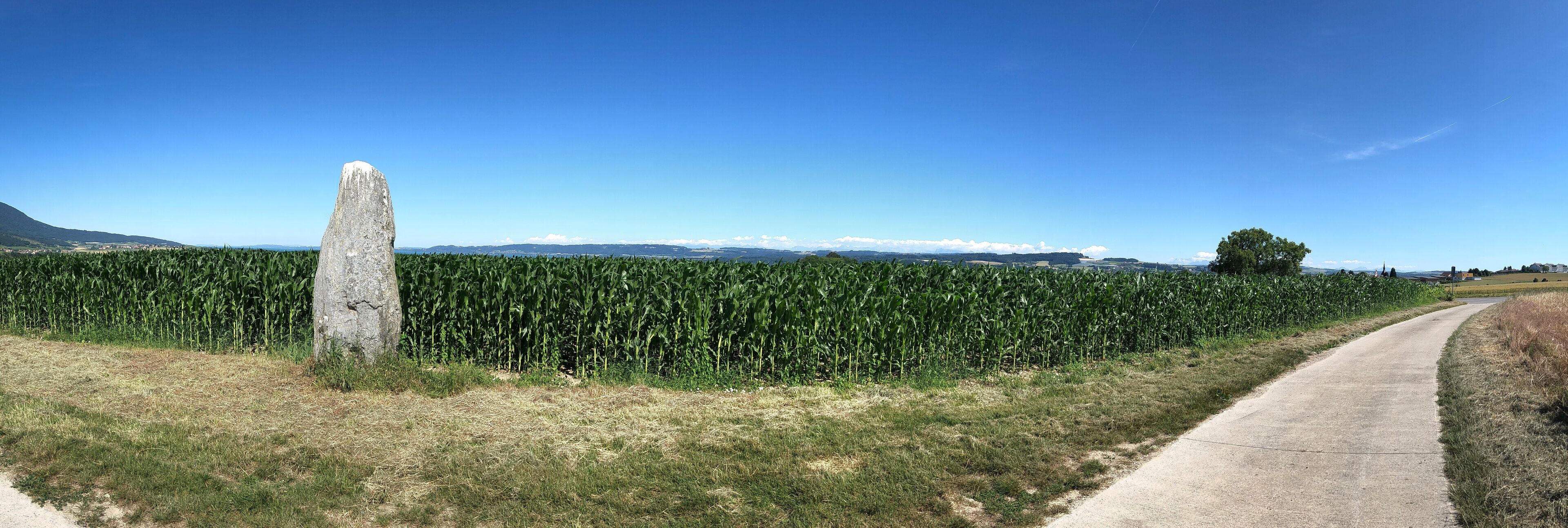 Menhir in the high of Grandson, VD, Switzerland From the village, take the road to Fiez, after the speedway bridge, take the first path on your right (not for cars) In the background left: lake Neuchatel In the Background right: village of Grandson Right: Path to the road to Fiez (right), Grandson (left)
