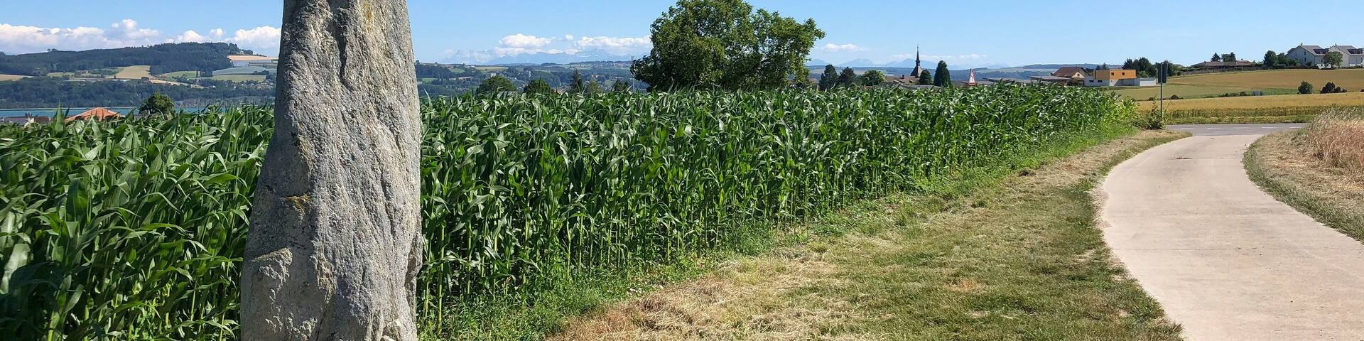 Menhir in the high of Grandson, VD, Switzerland From the village, take the road to Fiez, after the speedway bridge, take the first path on your right (not for cars) In the Background: village of Grandson Right: Path to the road to Fiez (right), Grandson (left)