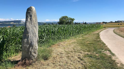Menhir in the high of Grandson, VD, Switzerland From the village, take the road to Fiez, after the speedway bridge, take the first path on your right (not for cars) In the Background: village of Grandson Right: Path to the road to Fiez (right), Grandson (left)