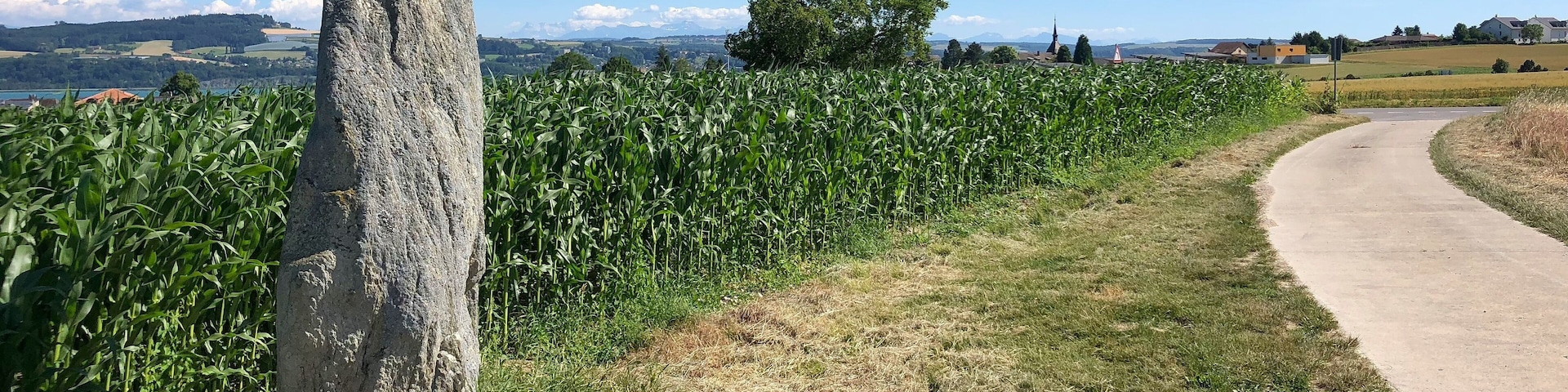 Menhir in the high of Grandson, VD, Switzerland From the village, take the road to Fiez, after the speedway bridge, take the first path on your right (not for cars) In the Background: village of Grandson Right: Path to the road to Fiez (right), Grandson (left)