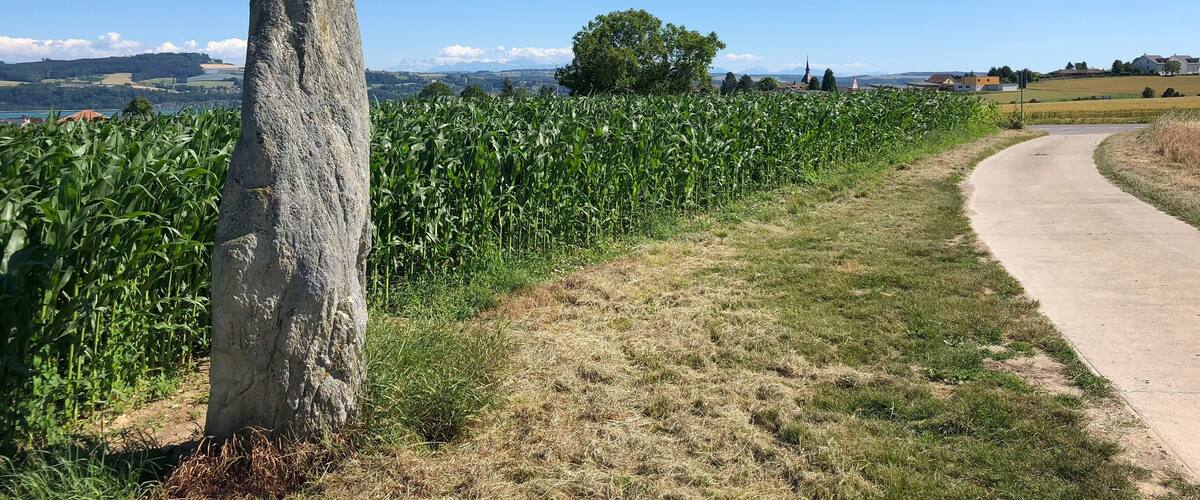 A tall stone monument, a cornfield, a winding path, and distant buildings.