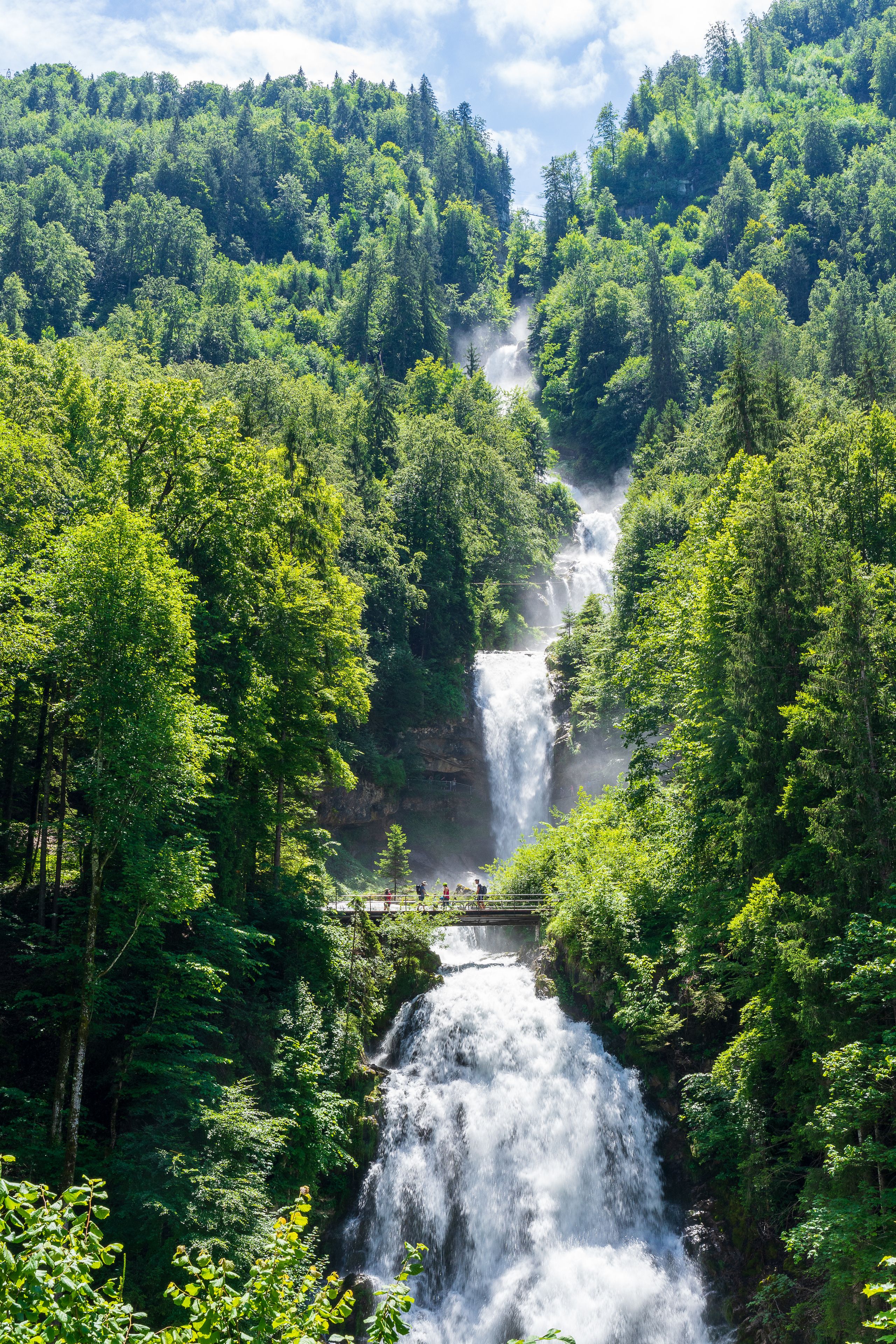 Une cascade entourée d’une forêt dense.