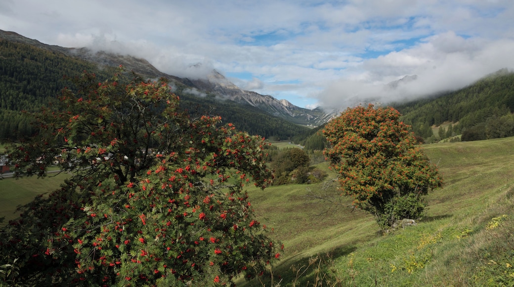 Biosfera Val Müstair - Oberhalb Fuldera, Blick Richtung Ofenpass, Piz Daint und Dora in Wolken