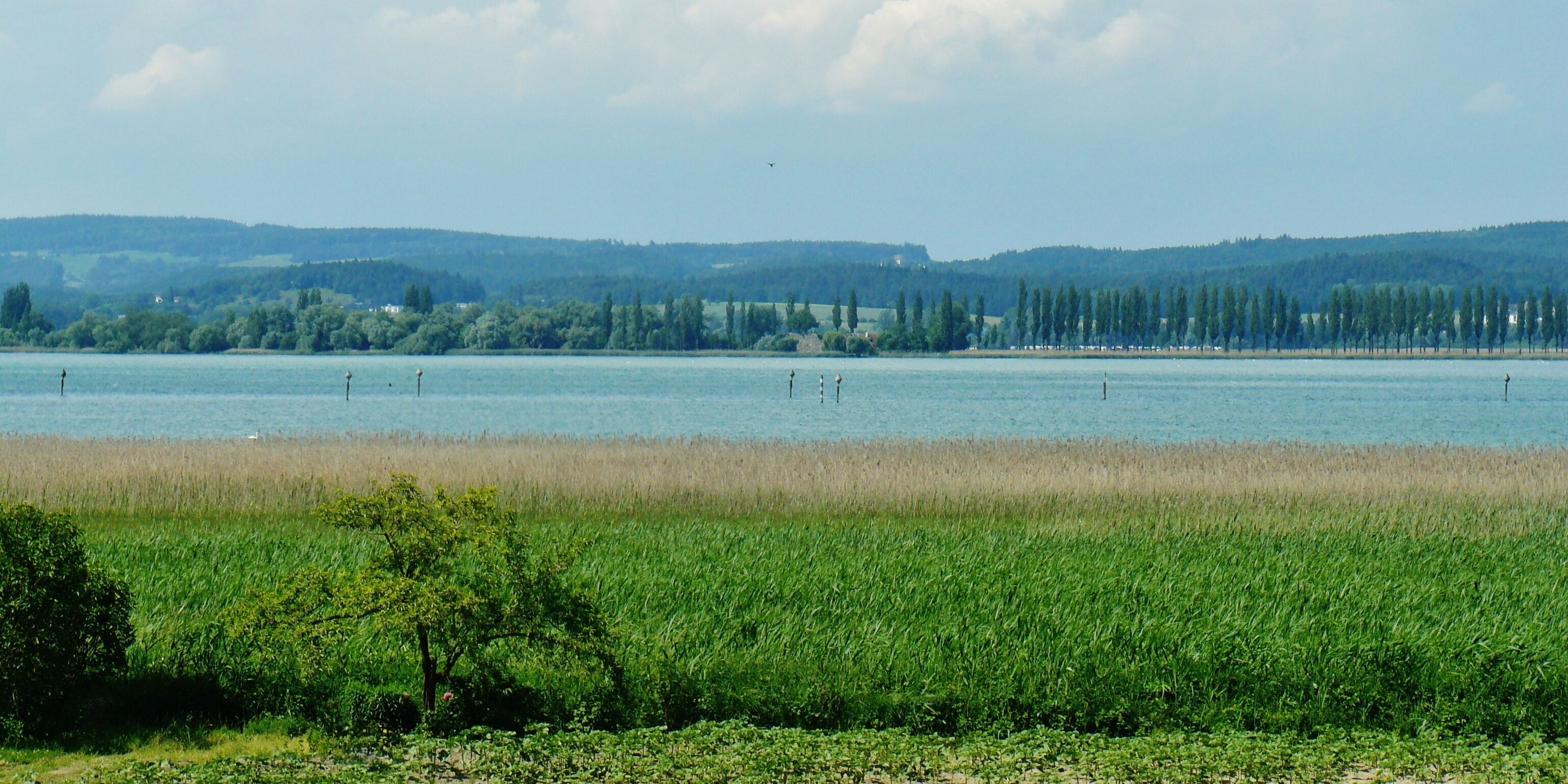 Damm zur Insel Reichenau