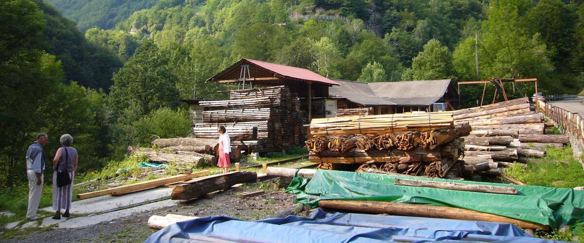 A mountainous landscape with a wooden cabin and a pile of logs.
