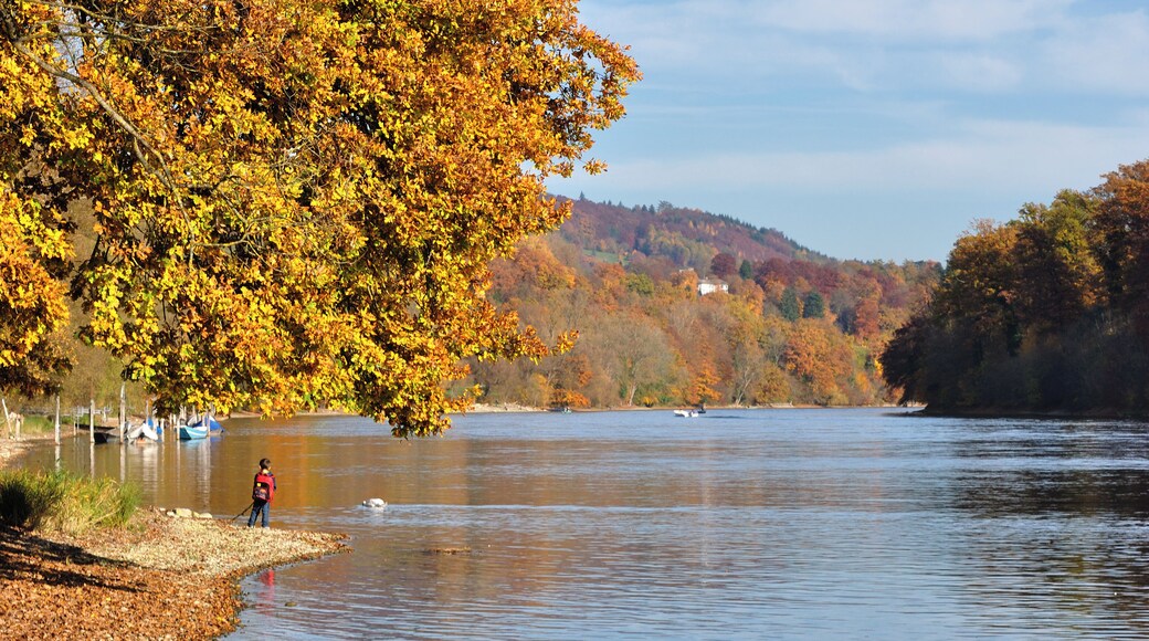 Switzerland, Canton of Schaffhausen, autumn walk in Dörflingen