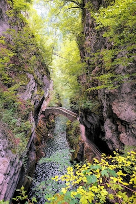 Fairytale walk