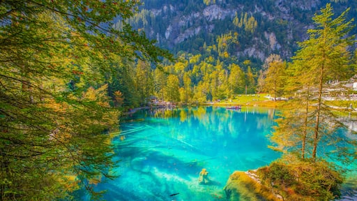 A clear lake surrounded by dense forest and mountains.
