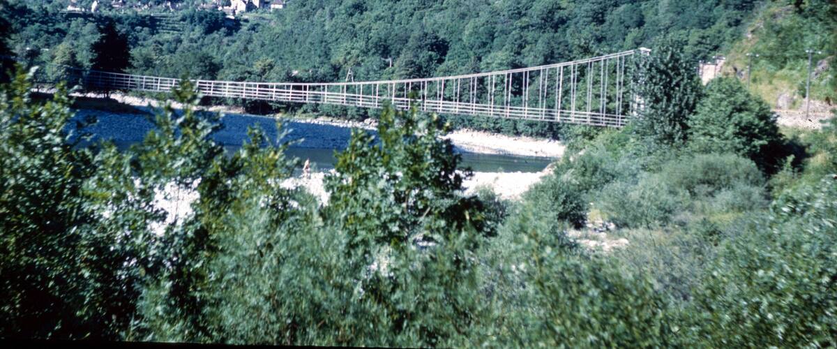 A suspension bridge over a river, surrounded by dense forest and mountains.