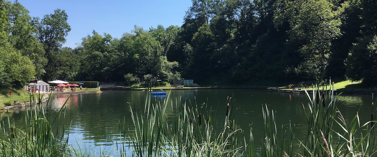 A calm lake surrounded by lush greenery and trees.