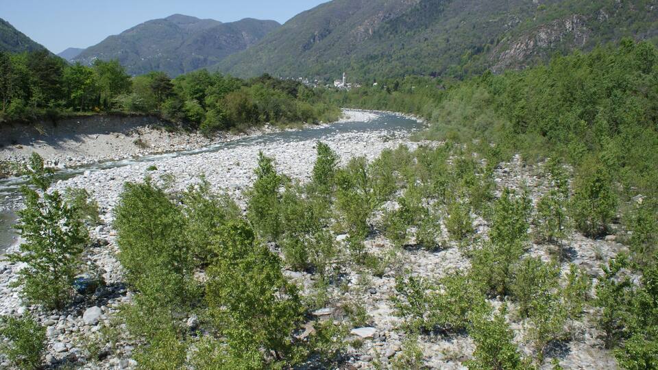 A river winding through a rocky landscape with green vegetation and mountains in the background.