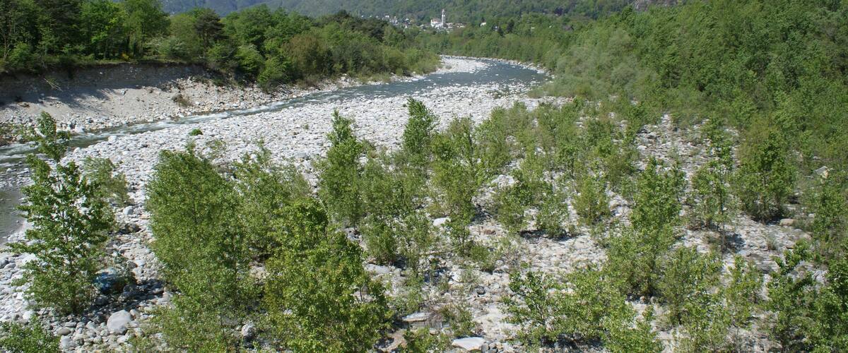 A river winding through a rocky landscape with green vegetation and mountains in the background.