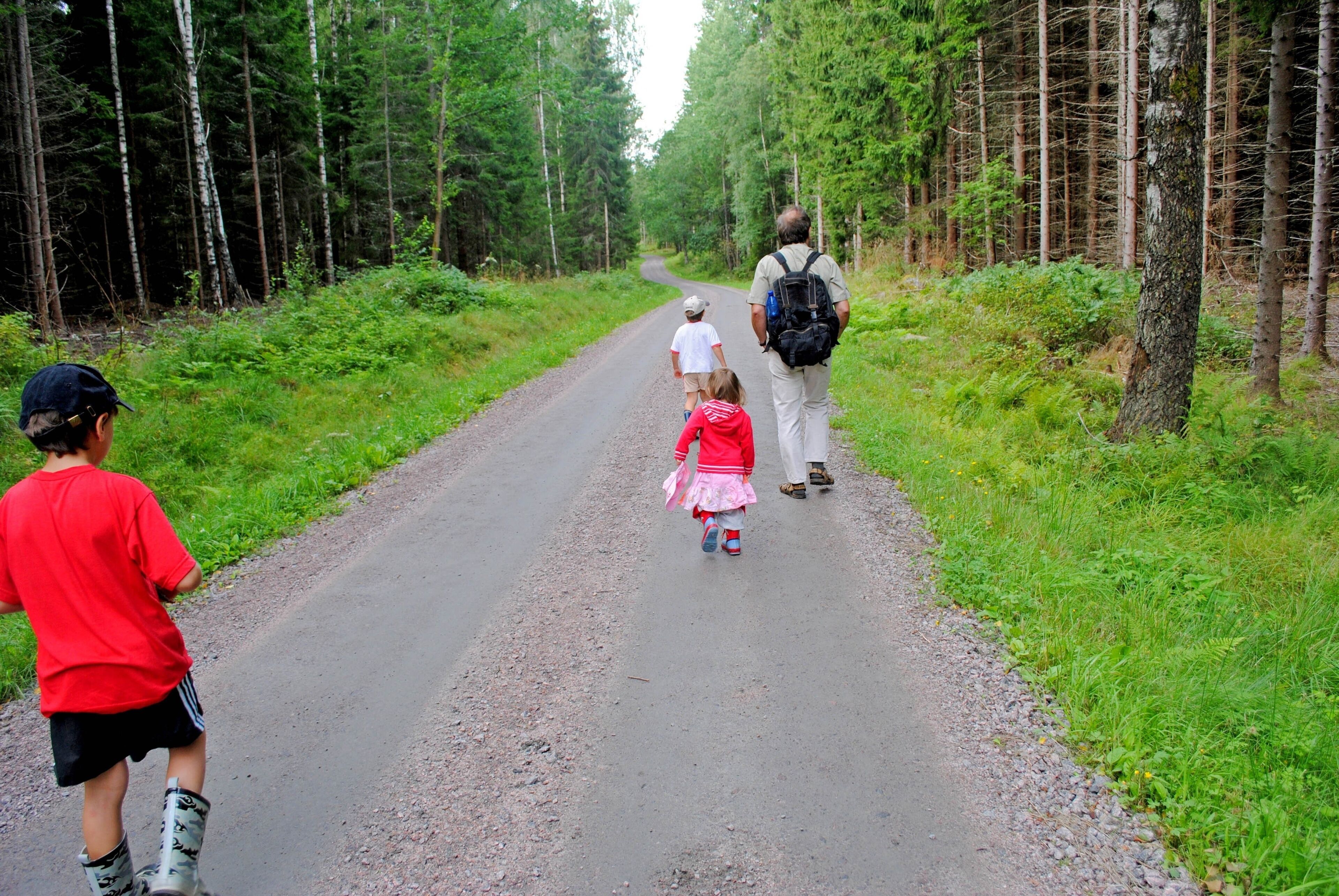 A forested path with a family walking.