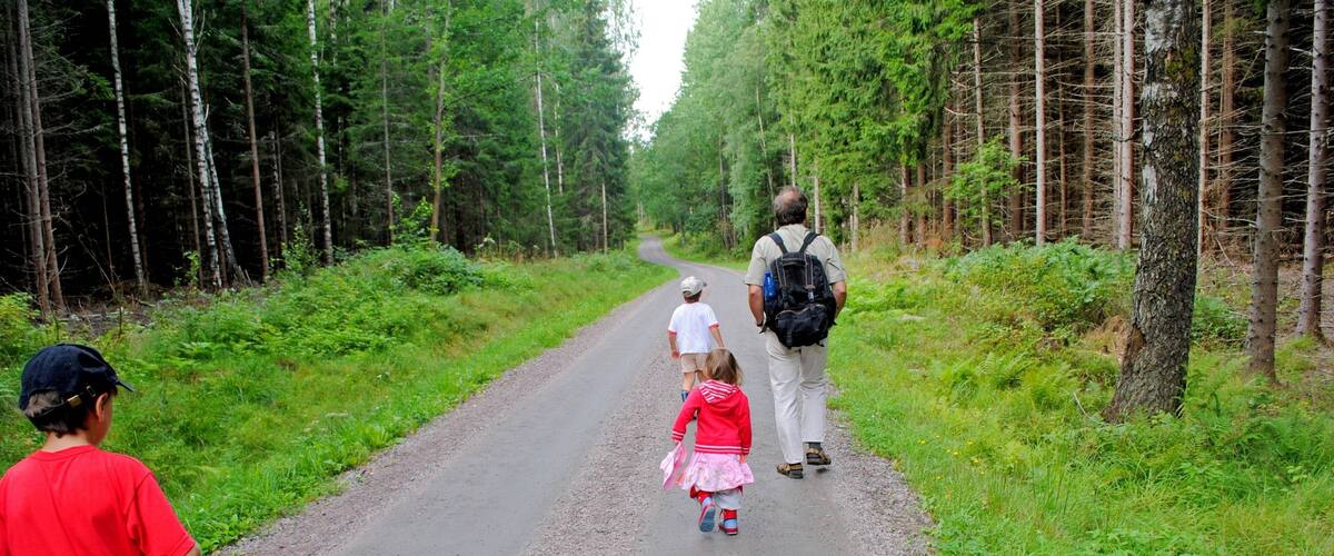 A forested path with a family walking.